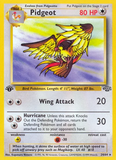 Pidgeot – Jungle nr 024/064 (Standard)