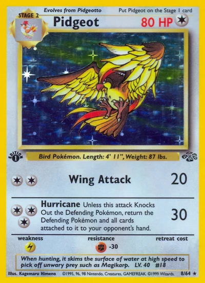 Pidgeot – Jungle nr 008/064 (Standard)