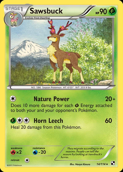 Sawsbuck – Black & White nr 014/114 (Standard)