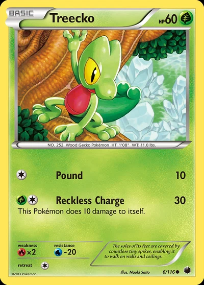 Treecko – Plasma Freeze nr 006/116 (Standard)