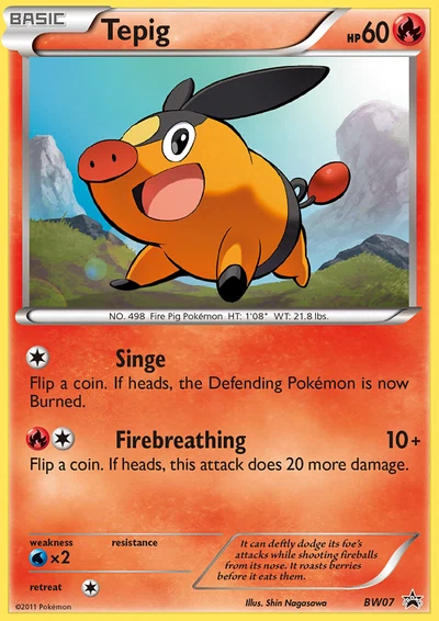 Tepig – BW Black Star Promos nr BW07 (Standard)