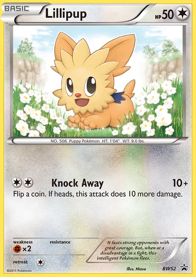 Lillipup – BW Black Star Promos nr BW52 (Standard)