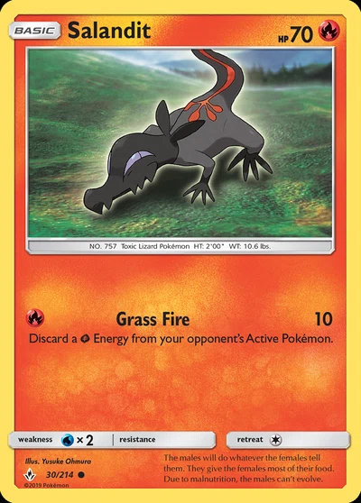 Salandit – Unbroken Bonds nr 030/214 (Standard)