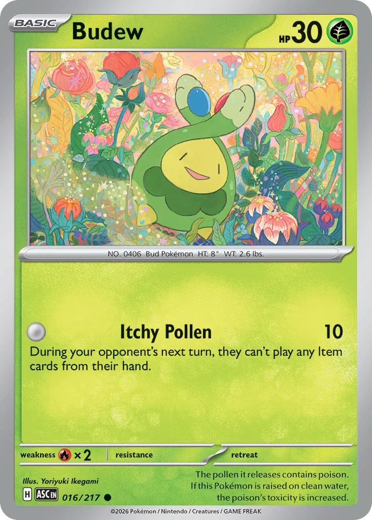 Budew 016/217 ME: Ascended Heroes (Normal)