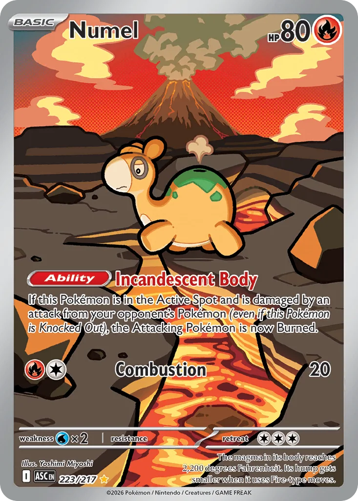 Numel 223/217 Ascended Heroes (Holo)