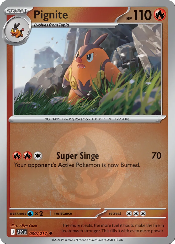 Pignite 030/217 ME: Ascended Heroes (Reverse holo)