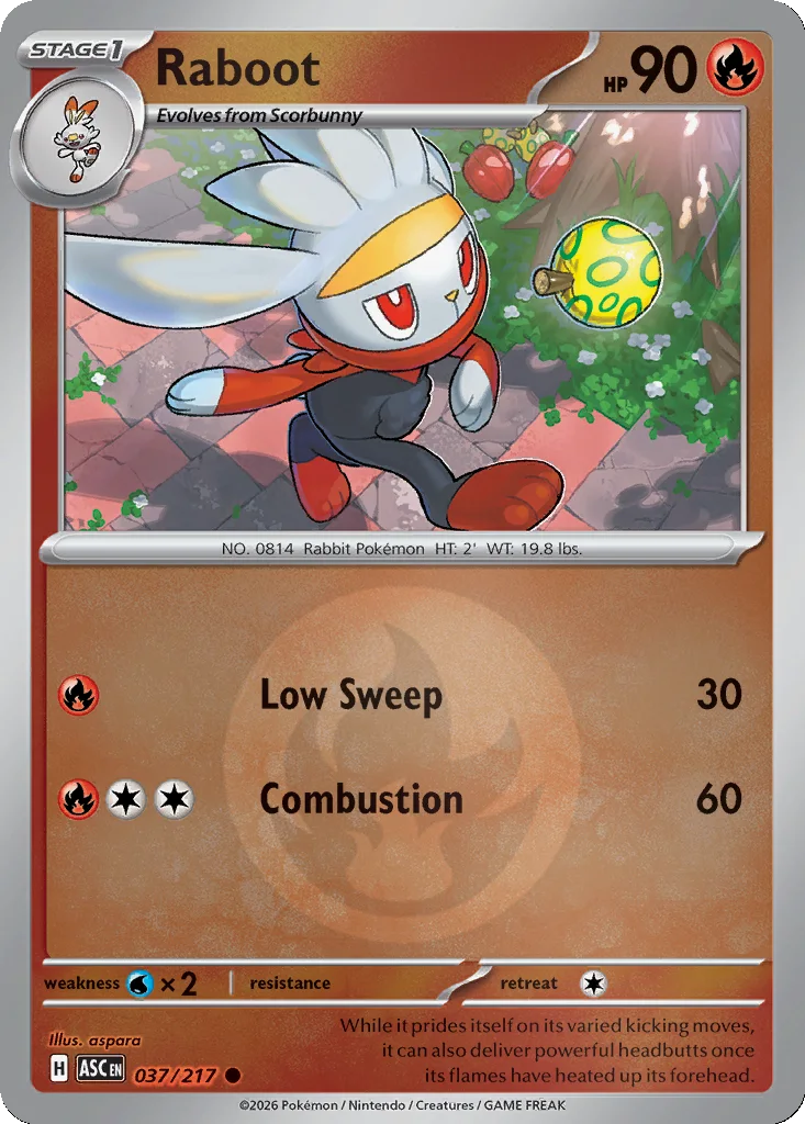 Raboot 037/217 Ascended Heroes (Reverse holo)