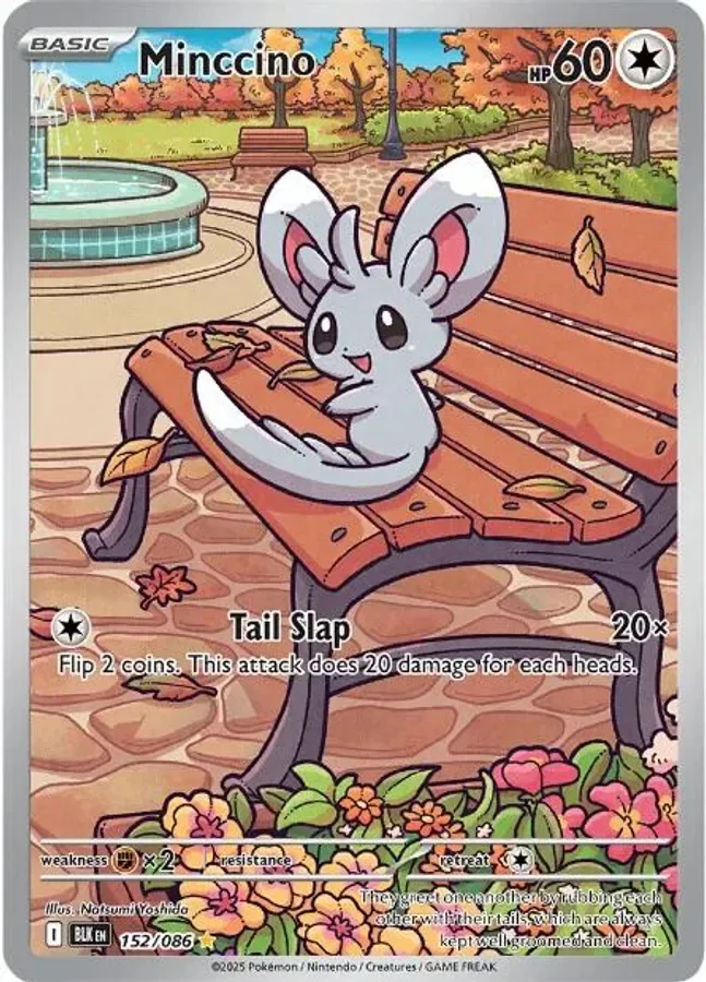 Minccino 152/086 Black Bolt (Holo)