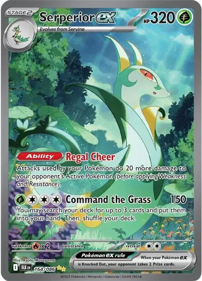 Serperior ex 164/086 Black Bolt (Holo)