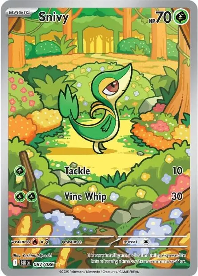 Snivy 087/086 Black Bolt (Holo)