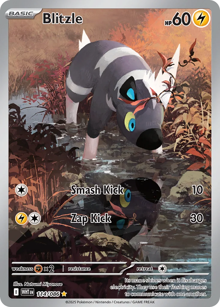 Blitzle 114/086 White Flare (Holo)